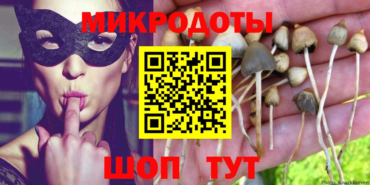 наркотики  Псилоцибиновые грибы ЛСД  Кимовск  Вход с VPN  Псилоцибиновые грибы Psilocybine cubensis 